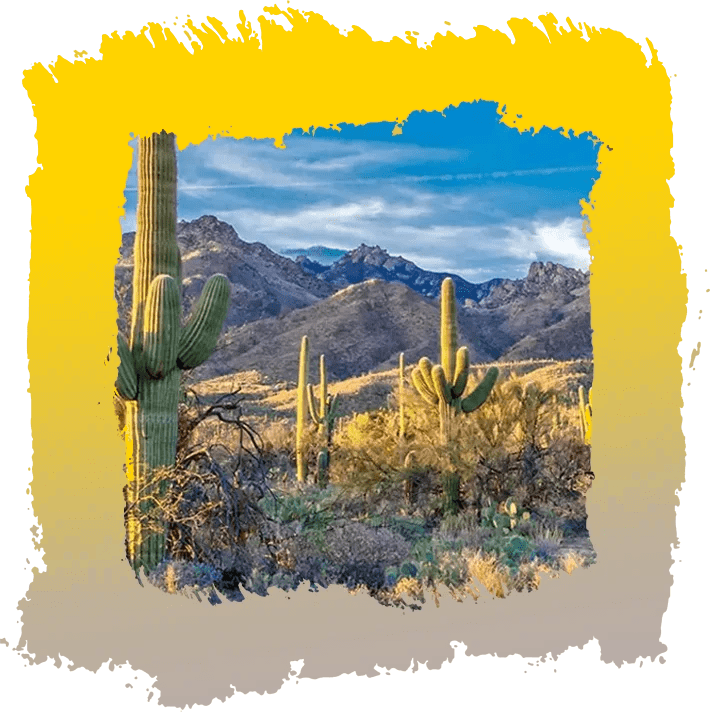 A picture of the desert with mountains in the background.